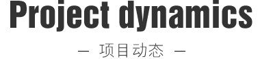 项目动态